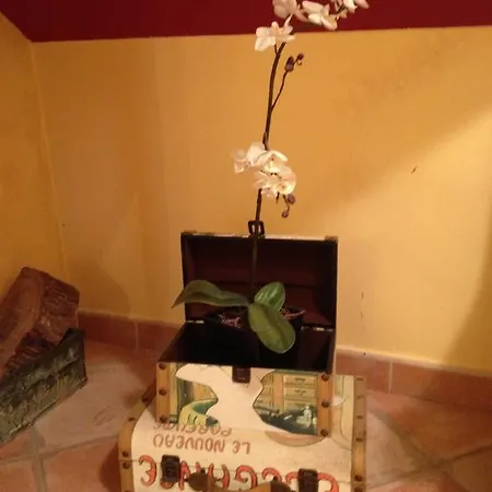 Hotel San Emeterio 2*