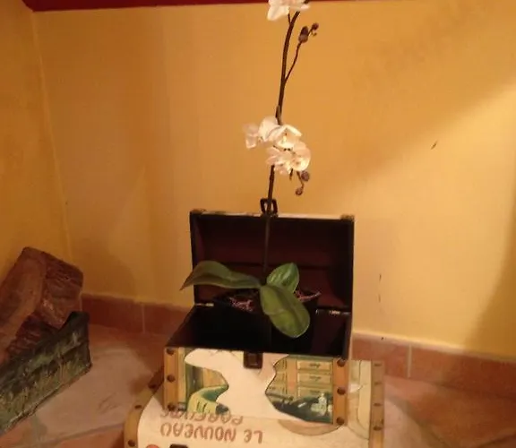 Hotel San Emeterio 2*